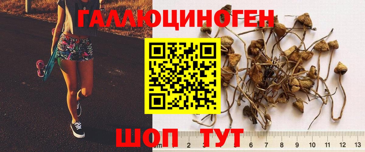 Магнитогорск  Псилоцибиновые грибы Magic Shrooms  Вход с VPN 