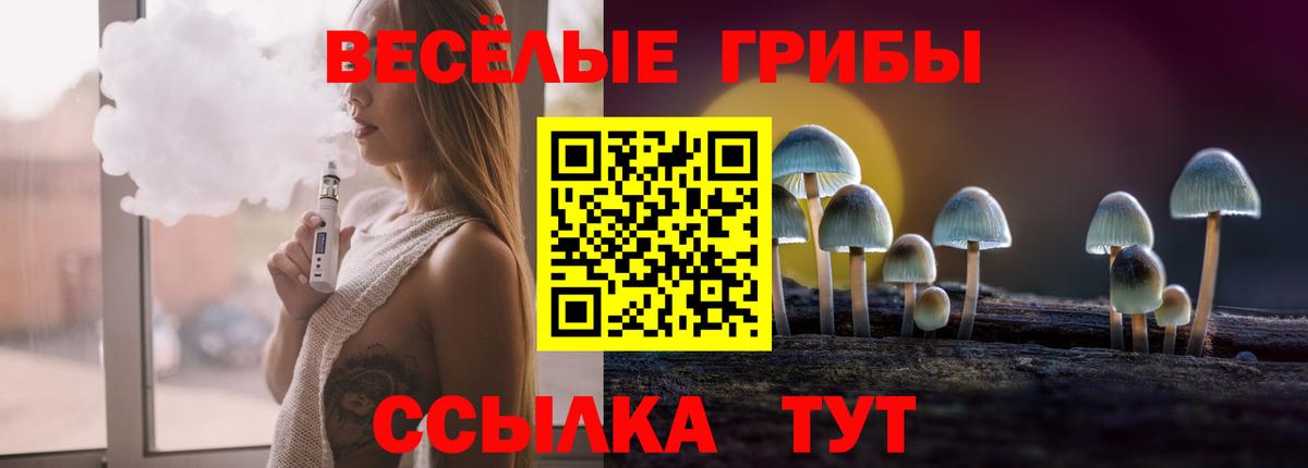 Галлюциногенные грибы Psilocybine cubensis Магнитогорск